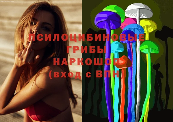 гидропоника Корсаков