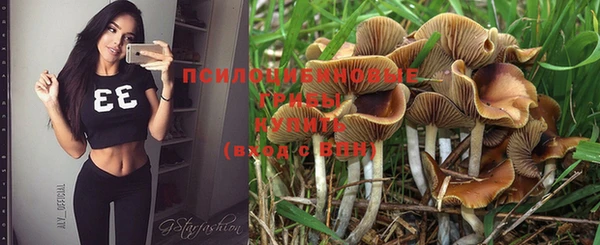 дживик Кемь