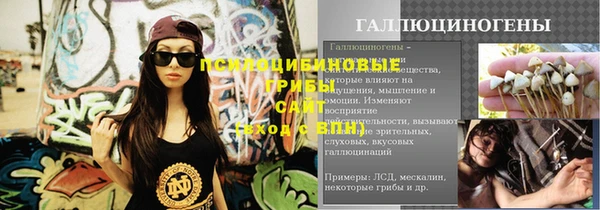 прущие крисы Кодинск